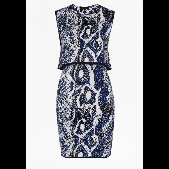 French Connection Dresses & Skirts - NWT French Connection Spotlight Boa Layer Dress